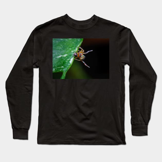 A gorgeous metallic jumper (Siler semiglaucus) showing its colourful abdomen from a Monstera Thai constellation!! It's also know as colorful jumping spider and jade jumping spider Long Sleeve T-Shirt by AvonPerception